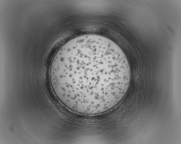 X0000111180735200907221048