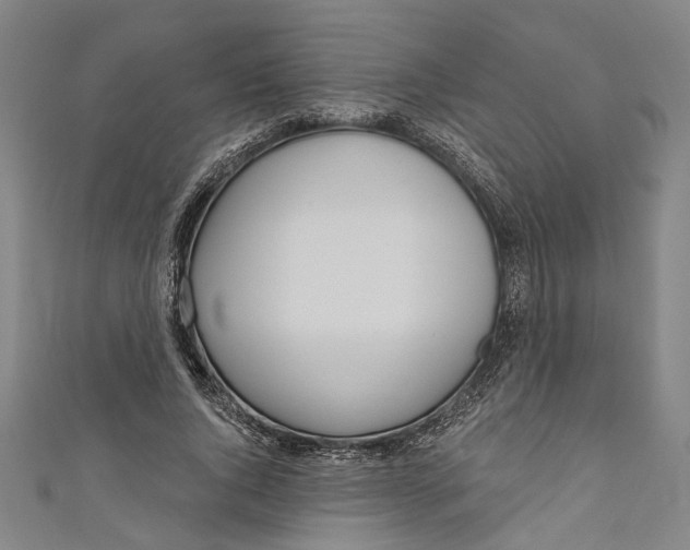 X0000111180736200907221048