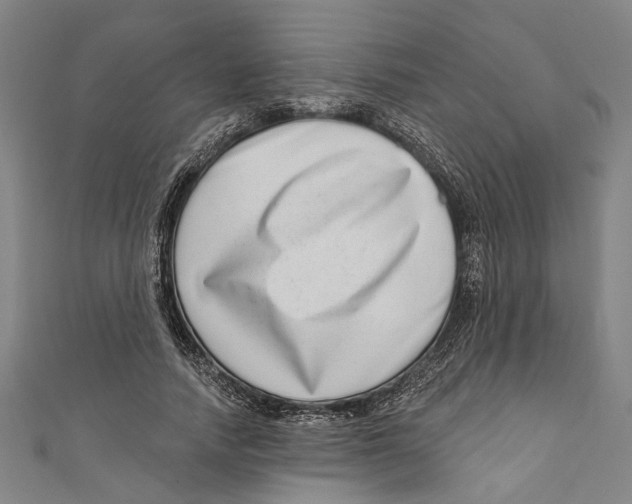 X0000111180738200907221048