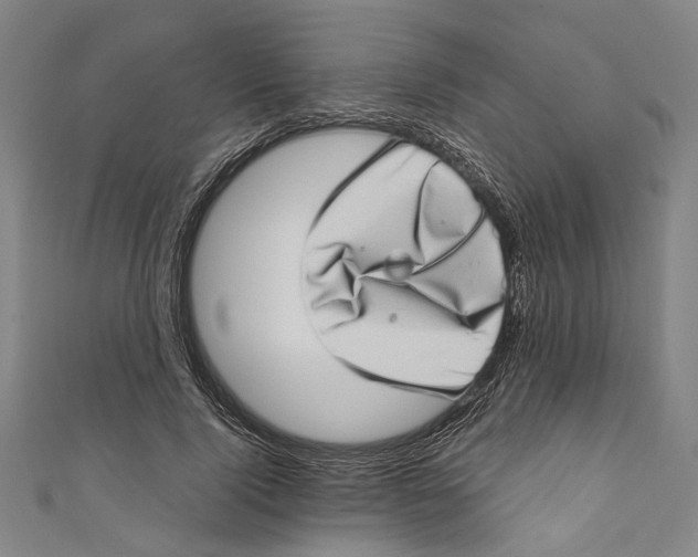 X0000111180740200907221048