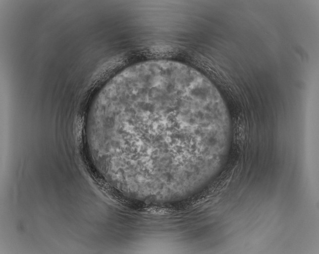 X0000111180742200907221048