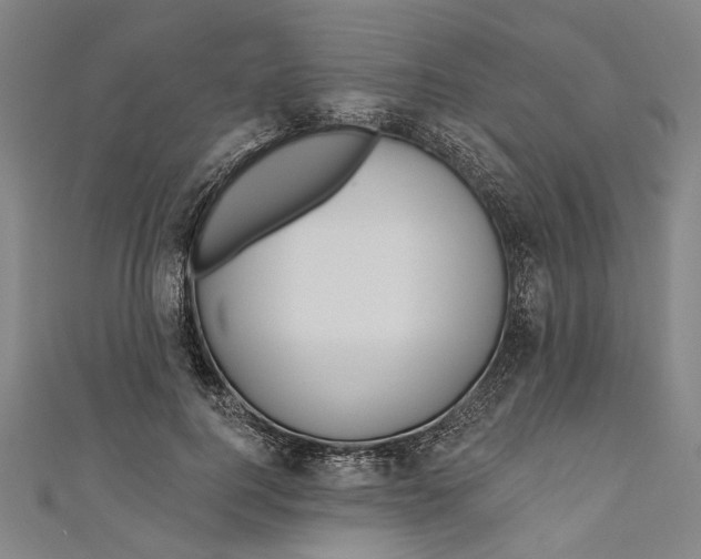 X0000111180744200907221048