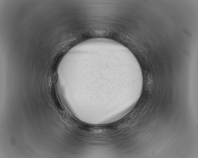 X0000111180746200907221048