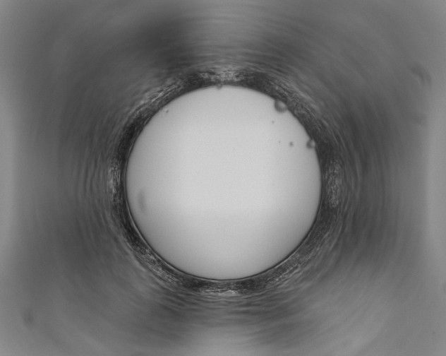 X0000111180747200907221048