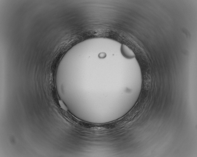 X0000111180748200907221048