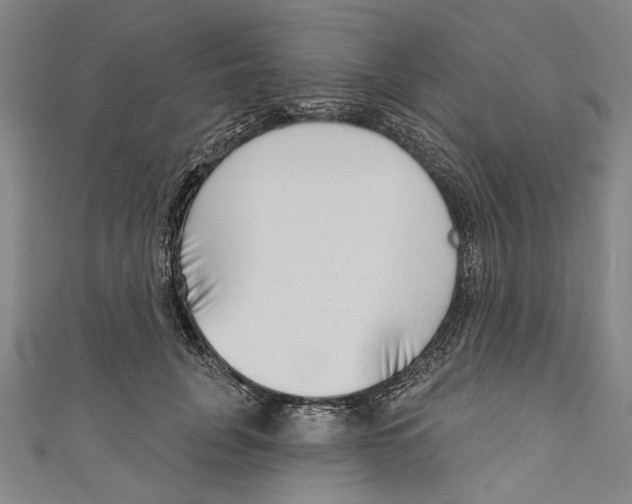 X0000111180751200907221048