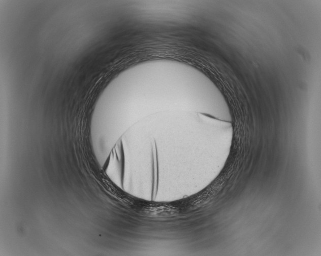 X0000111180752200907221048