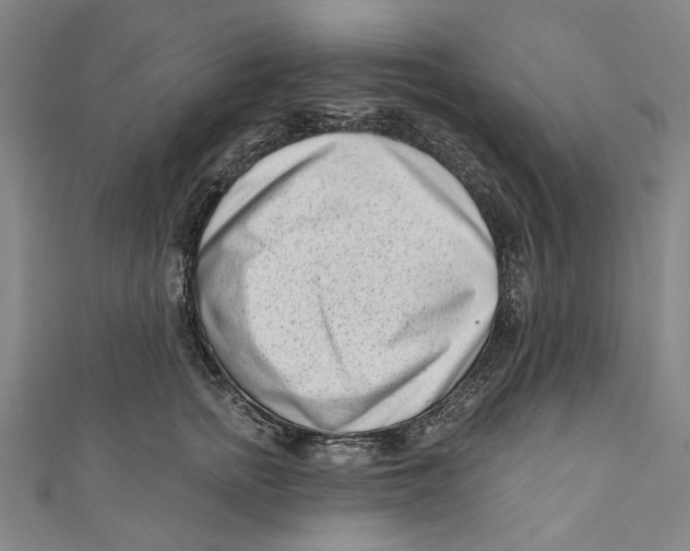 X0000111180758200907221048