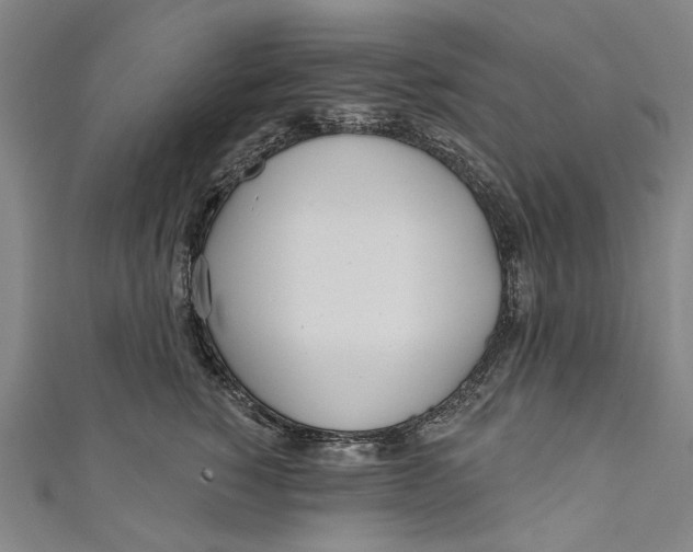 X0000111180760200907221048