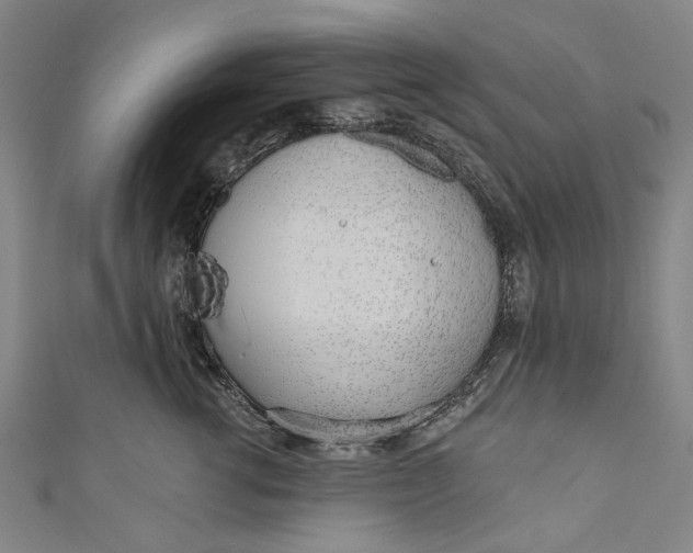 X0000111180762200907221048