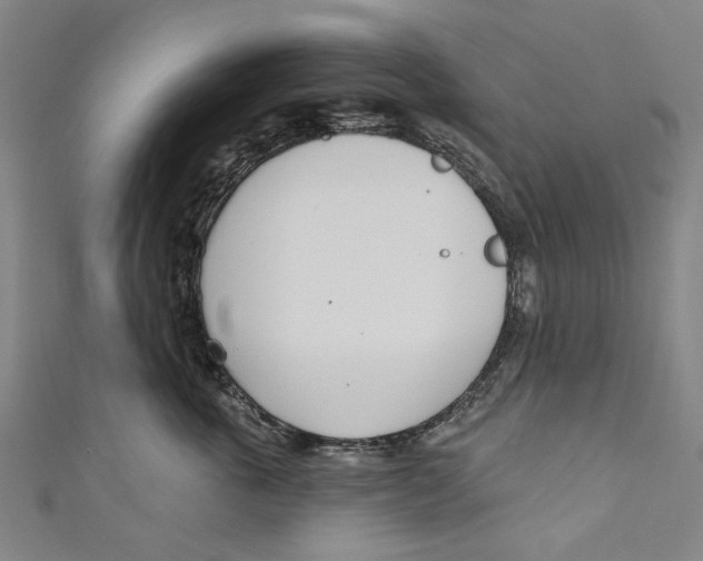 X0000111180763200907221048