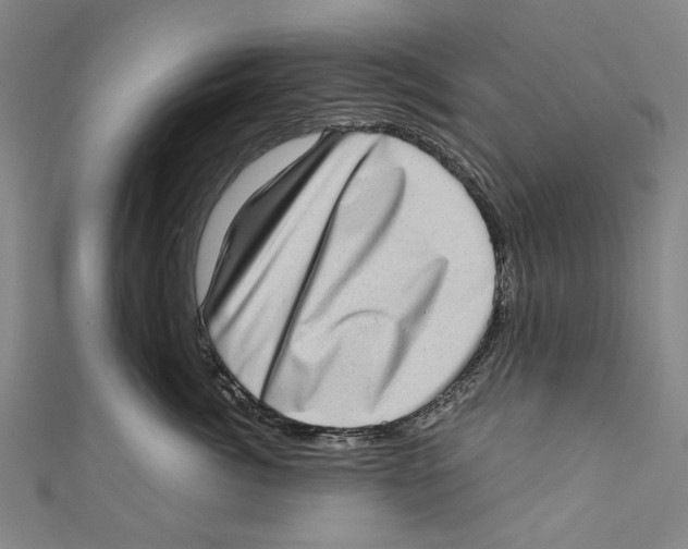 X0000111180764200907221048