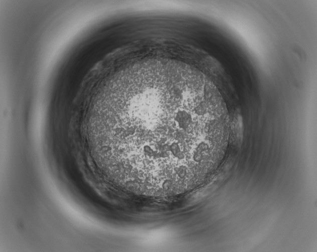 X0000111180765200907221048