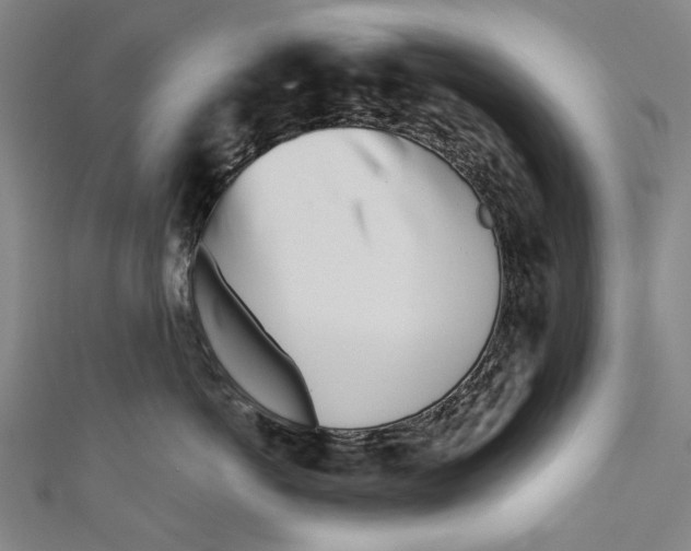 X0000111180766200907221048