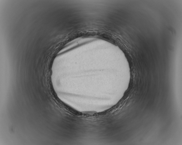 X0000111180769200907221048