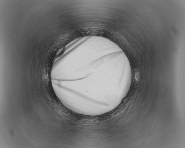 X0000111180771200907221048