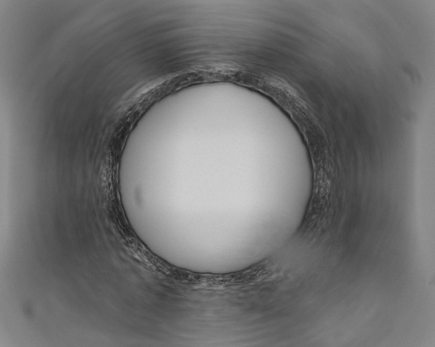 X0000111180773200907221047