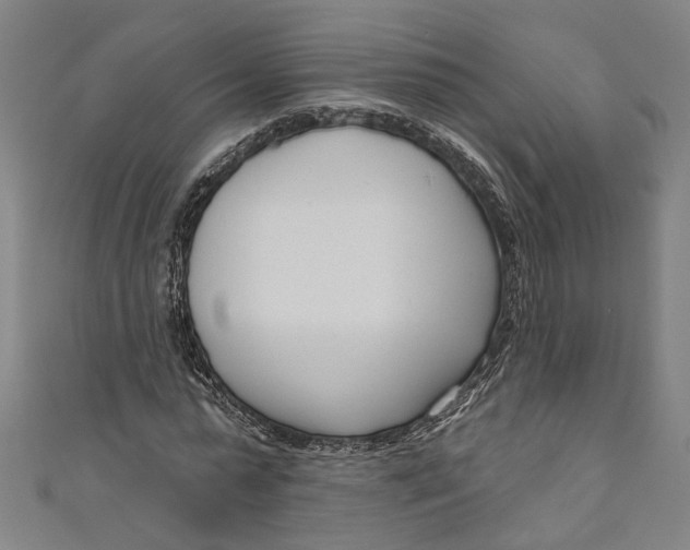 X0000111180775200907221047