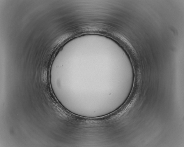 X0000111180777200907221047