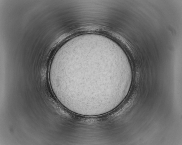 X0000111180778200907221047