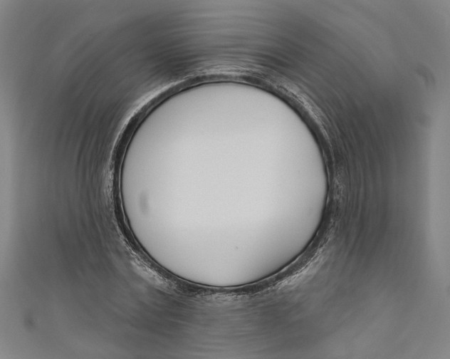 X0000111180779200907221047