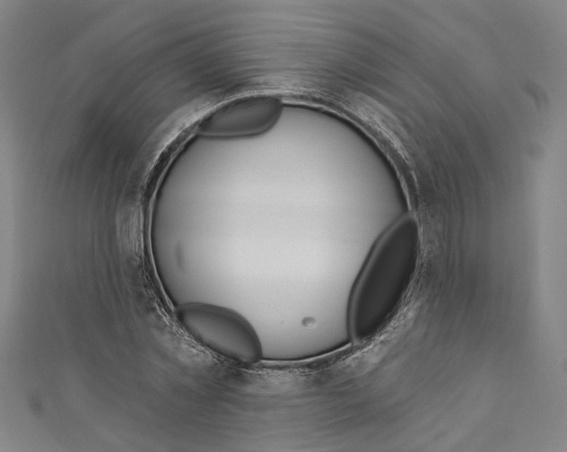 X0000111180781200907221047