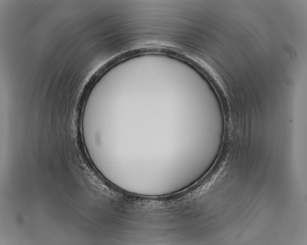 X0000111180783200907221047