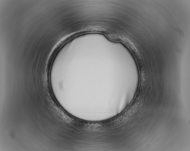 X0000111180784200907221047