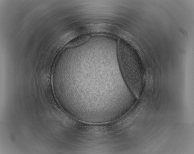 X0000111180785200907221047