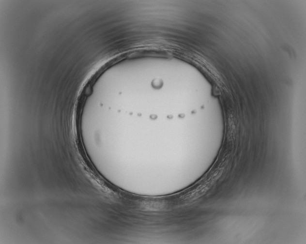 X0000111180788200907221047