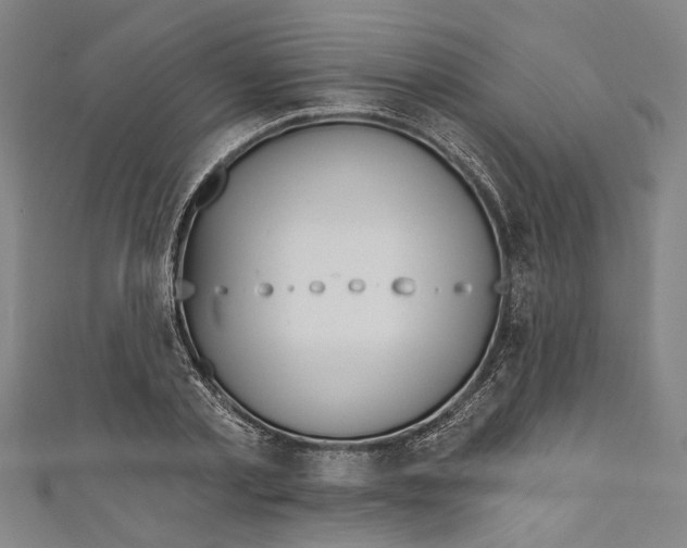 X0000111180789200907221047