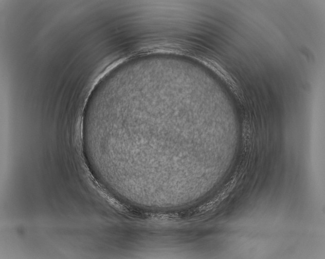 X0000111180790200907221047