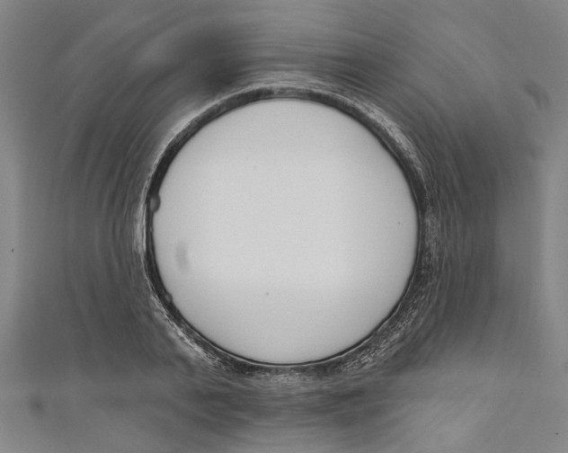 X0000111180791200907221047