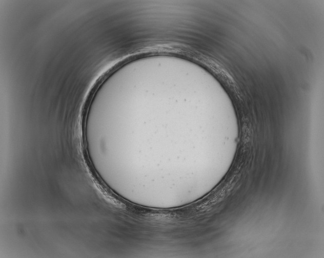 X0000111180792200907221047