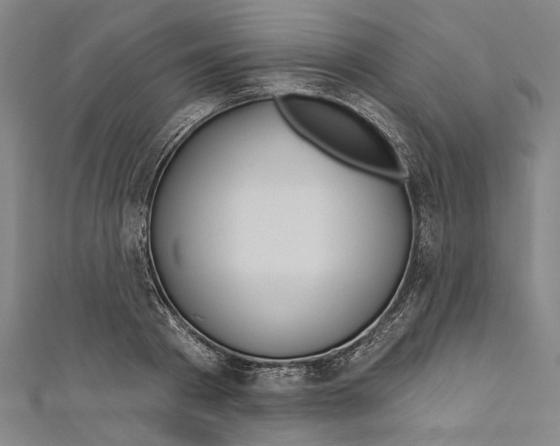 X0000111180793200907221047