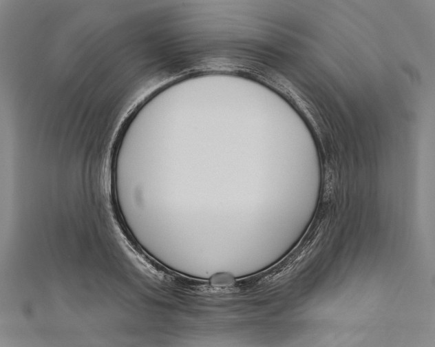 X0000111180795200907221047