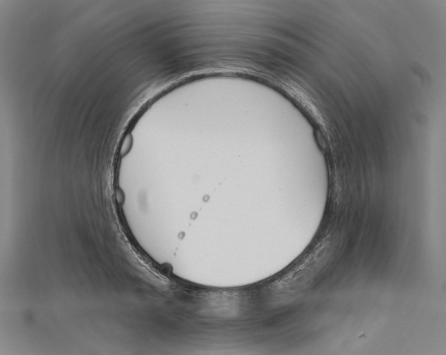 X0000111180797200907221047