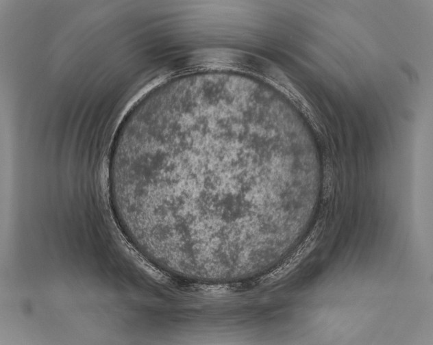 X0000111180798200907221047