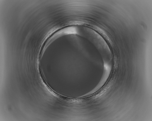 X0000111180802200907221047