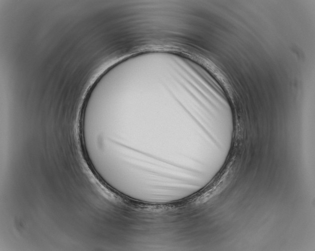 X0000111180803200907221047