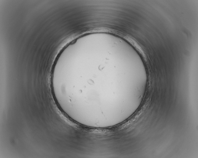 X0000111180805200907221047