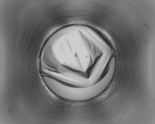 X0000111180807200907221047