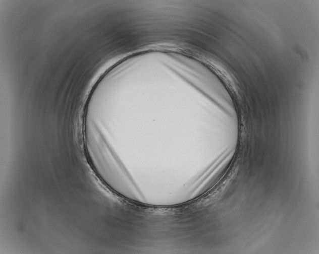 X0000111180808200907221047