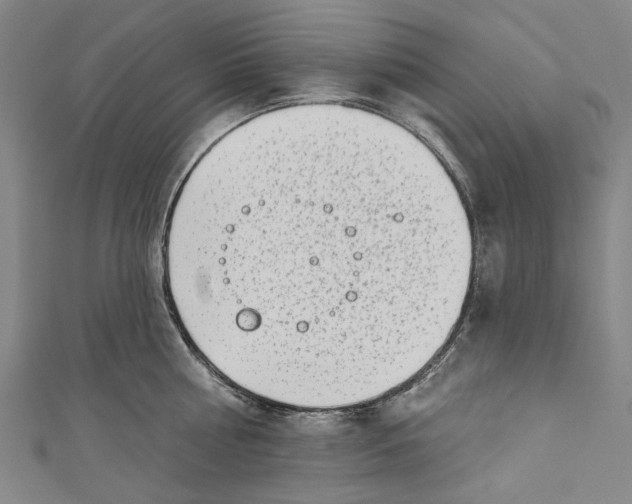 X0000111180810200907221047