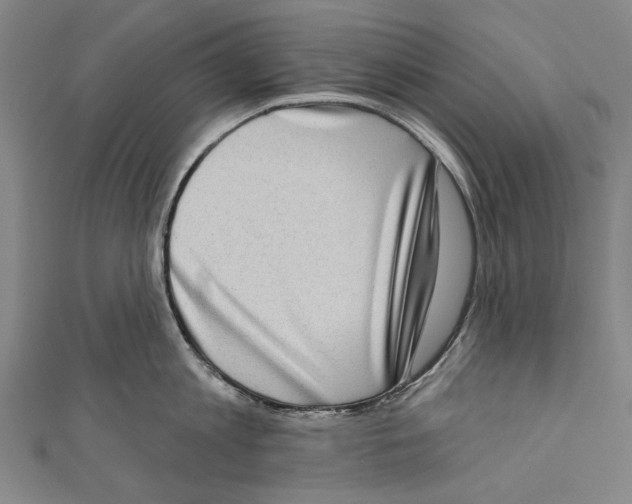 X0000111180813200907221047