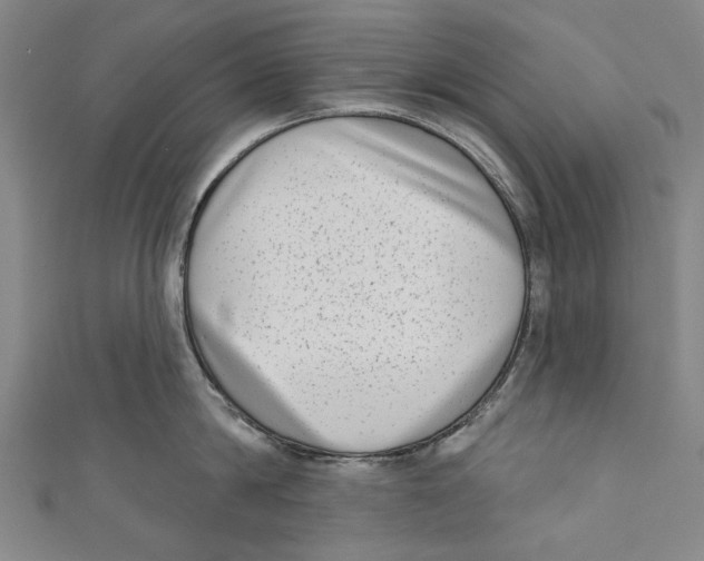 X0000111180814200907221047