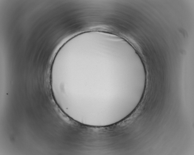 X0000111180816200907221047