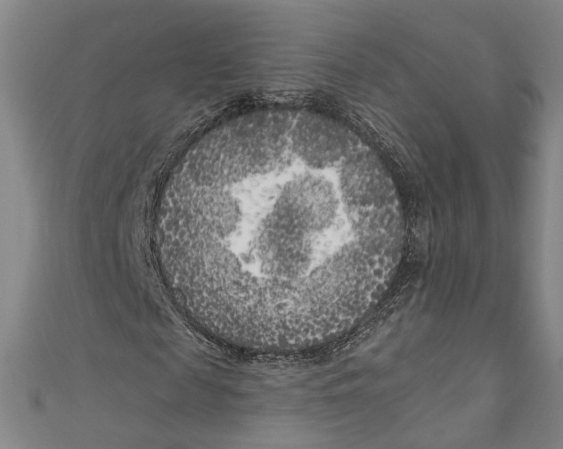 X0000111180817200907221046