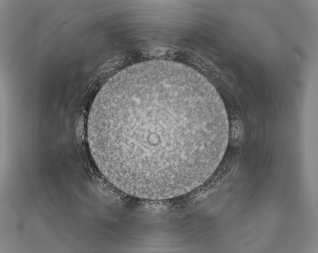 X0000111180820200907221046