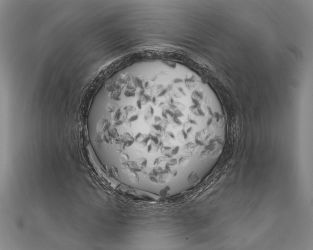 X0000111180822200907221046